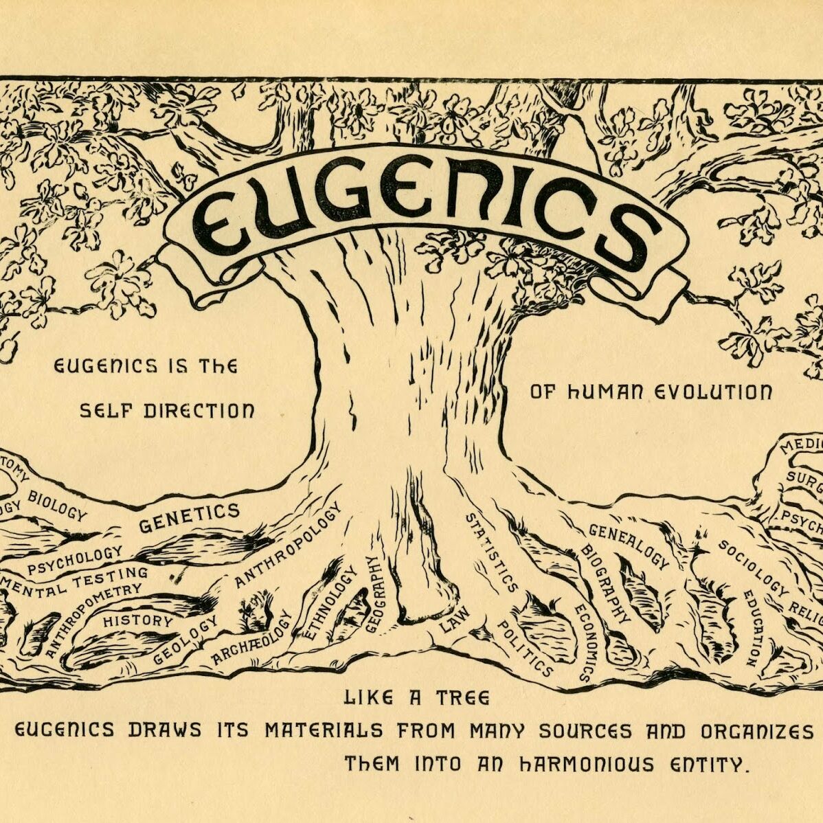 A “Brief” History of Eugenics – Women In The Scriptures